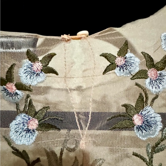 Zara Light Pink Floral Embroidered Sheer Top - Picture 9 of 10